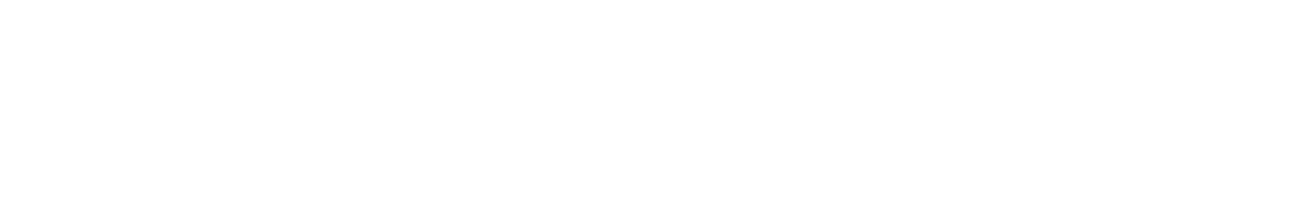 New Identity Academy